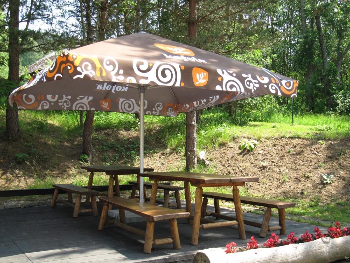Penzion U Molu Horní Vltavice Екстериор снимка