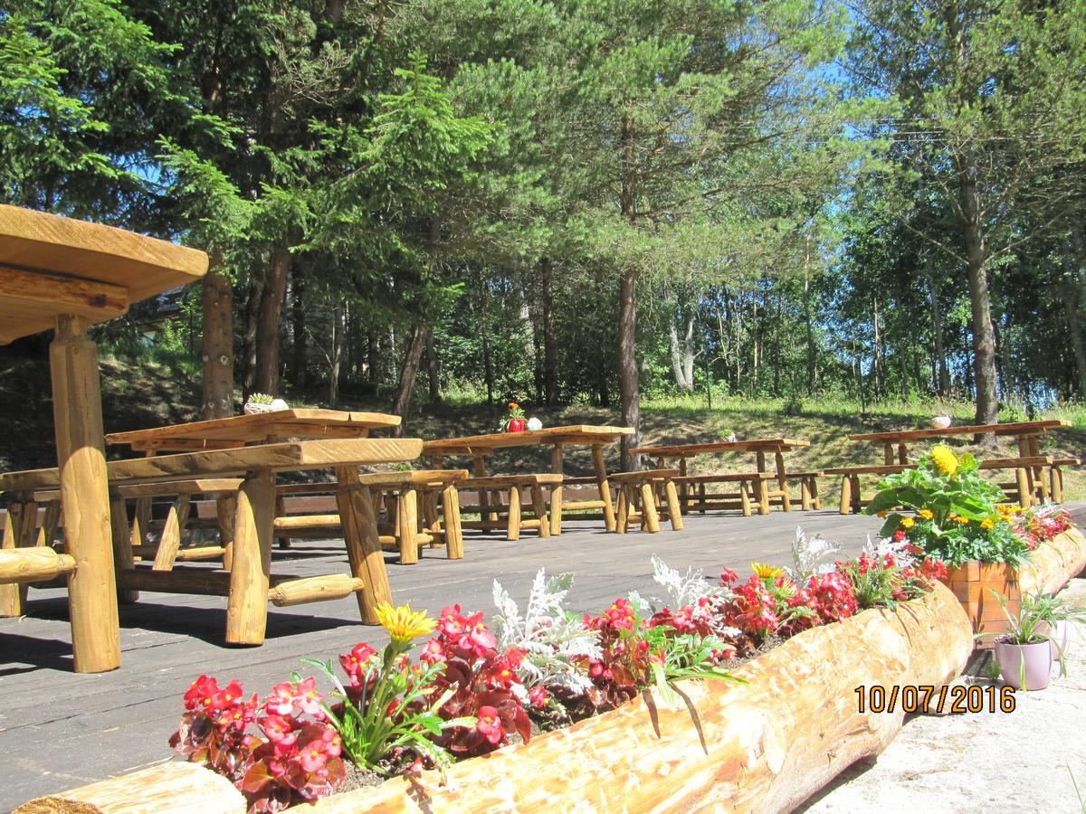 Penzion U Molu Horní Vltavice Екстериор снимка